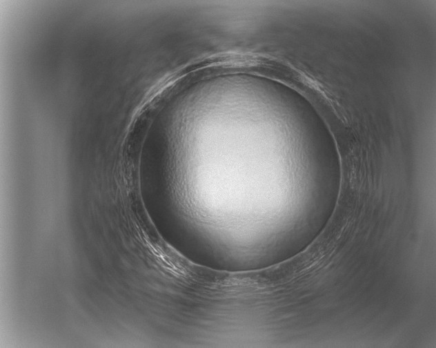 X0000052601448200507081808