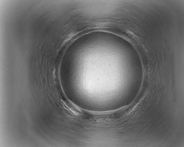 X0000052601449200507081808