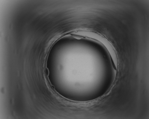 X0000052600001200507160023