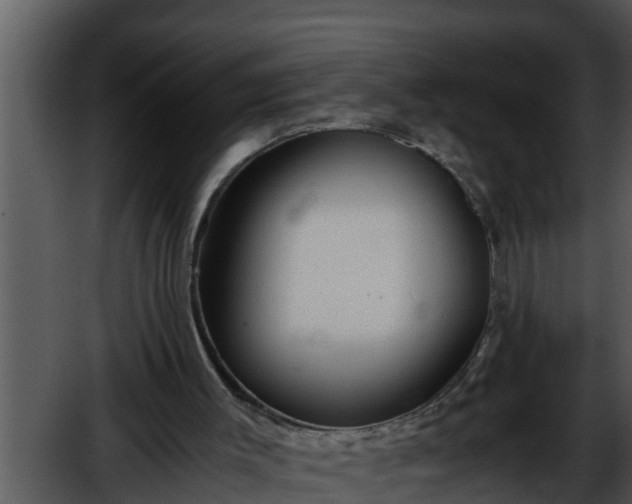 X0000052600003200507160023