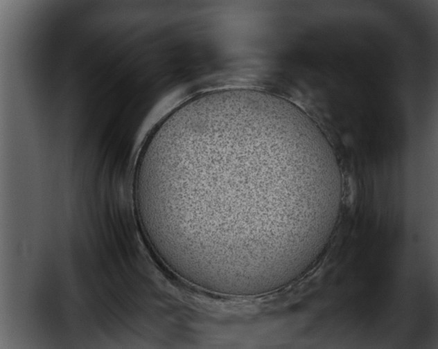 X0000052600004200507160023