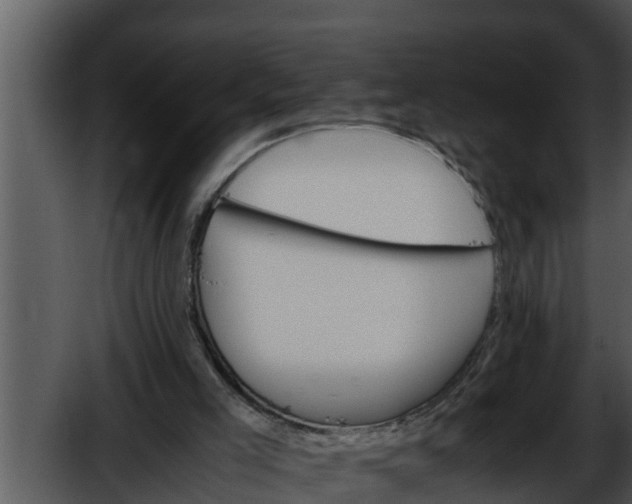 X0000052600005200507160023