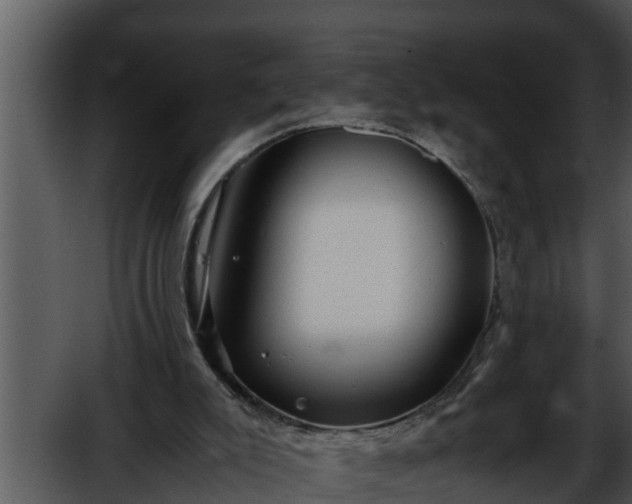 X0000052600007200507160023