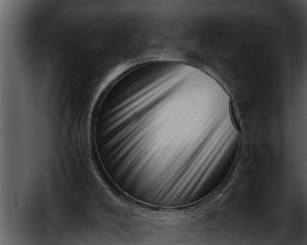 X0000052600008200507160023