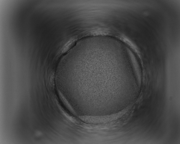 X0000052600009200507160023