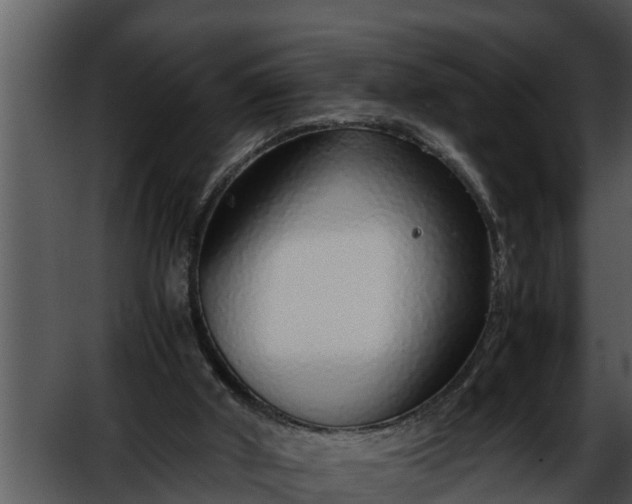 X0000052600010200507160023