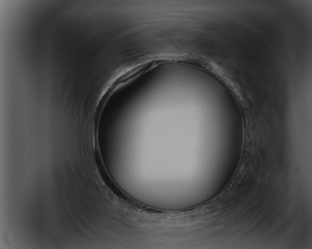 X0000052600011200507160023