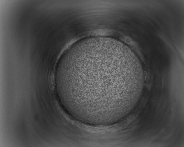 X0000052600012200507160023