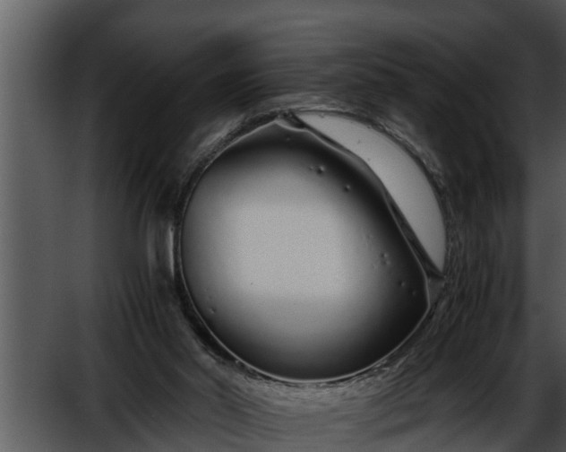 X0000052600014200507160023