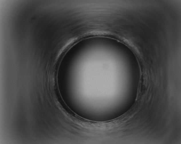 X0000052600015200507160023