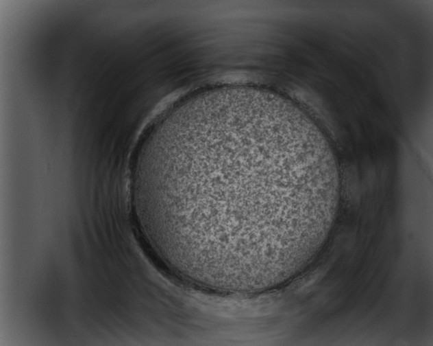 X0000052600016200507160023