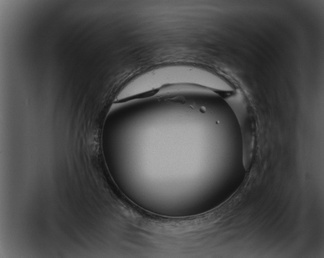 X0000052600017200507160023