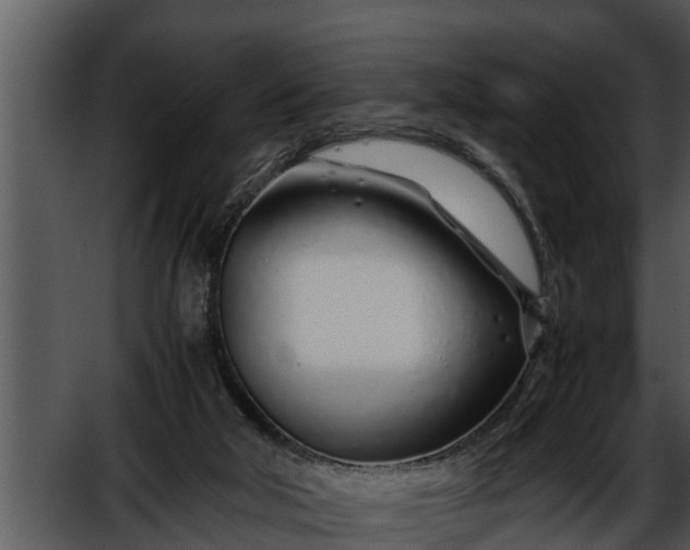 X0000052600018200507160023