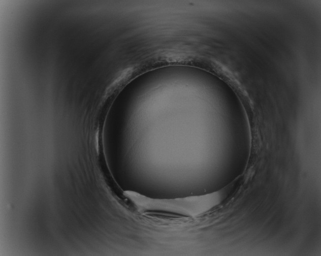 X0000052600019200507160023