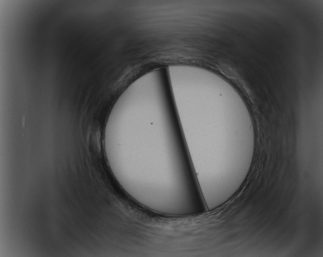 X0000052600021200507160023