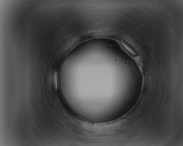 X0000052600022200507160023