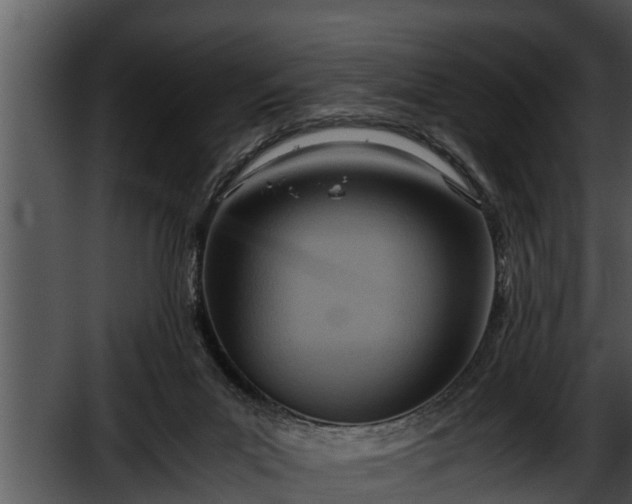 X0000052600023200507160023