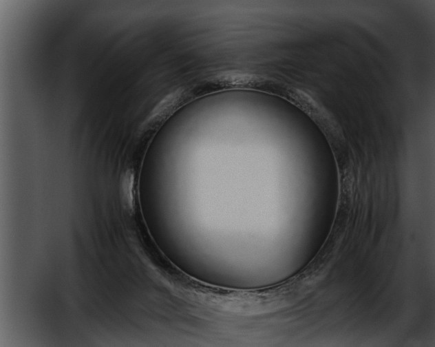 X0000052600024200507160023