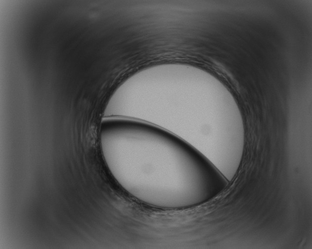 X0000052600025200507160023