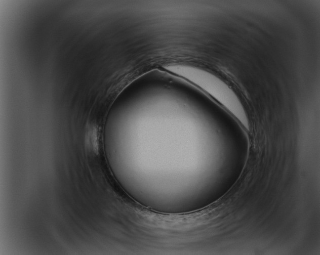 X0000052600026200507160023