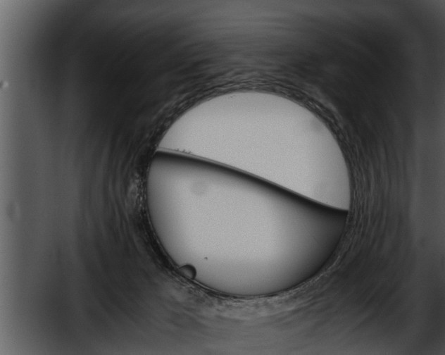 X0000052600029200507160023