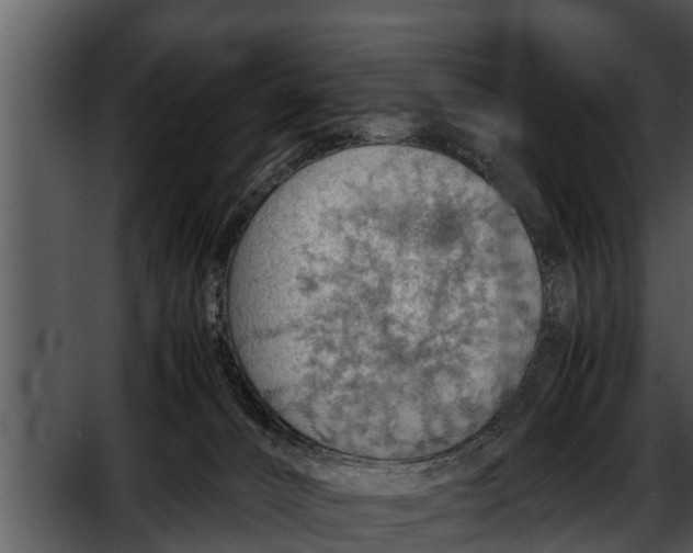 X0000052600032200507160023