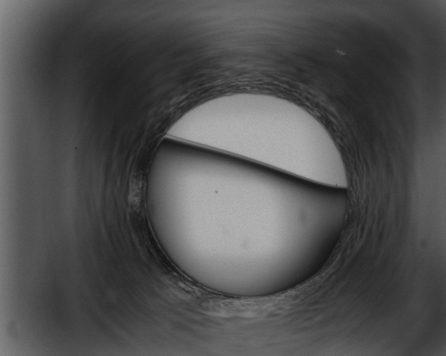 X0000052600033200507160023