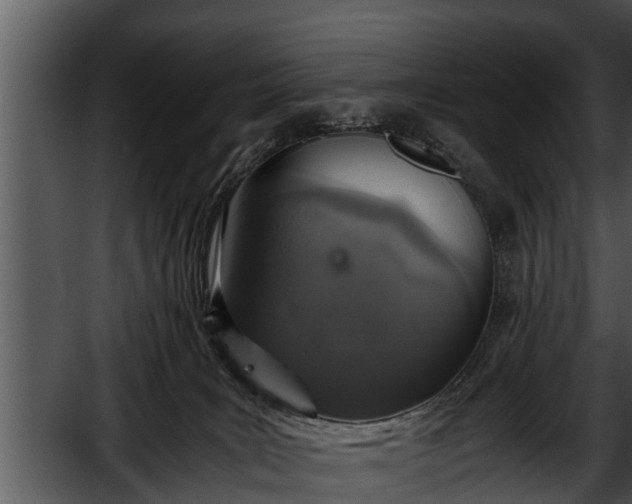 X0000052600035200507160023