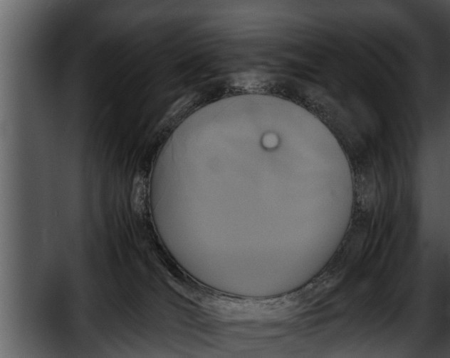 X0000052600036200507160023