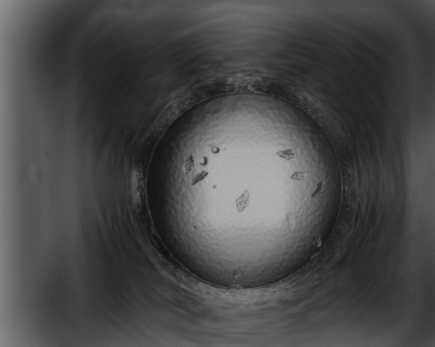 X0000052600038200507160022