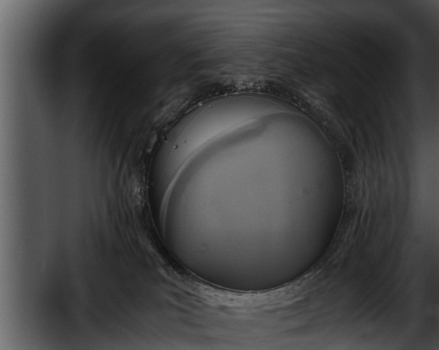 X0000052600039200507160022