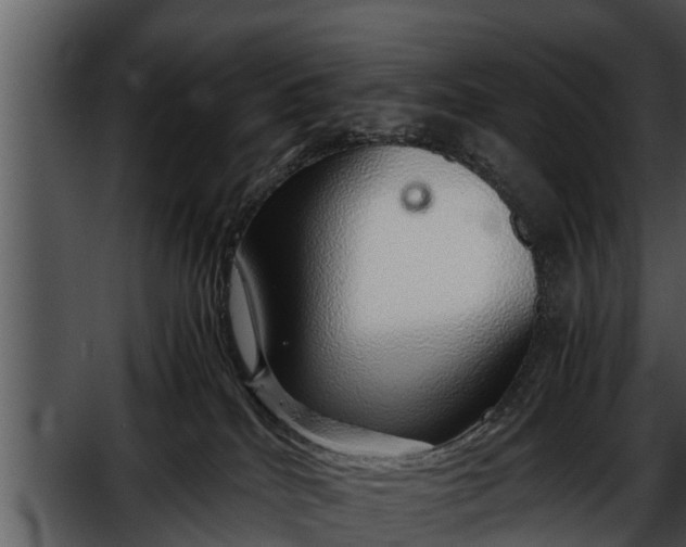 X0000052600040200507160022