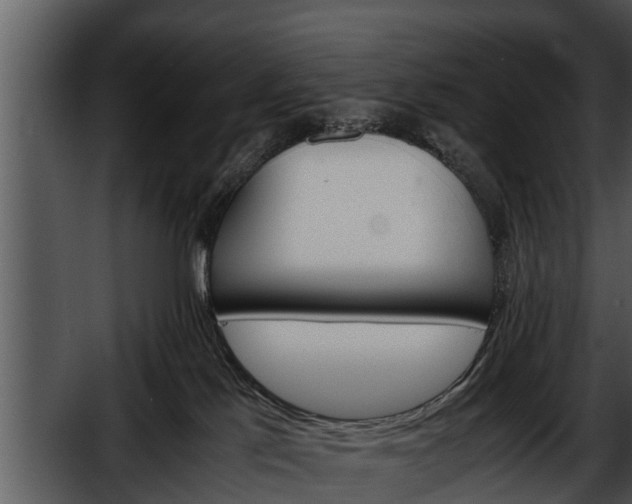 X0000052600041200507160022