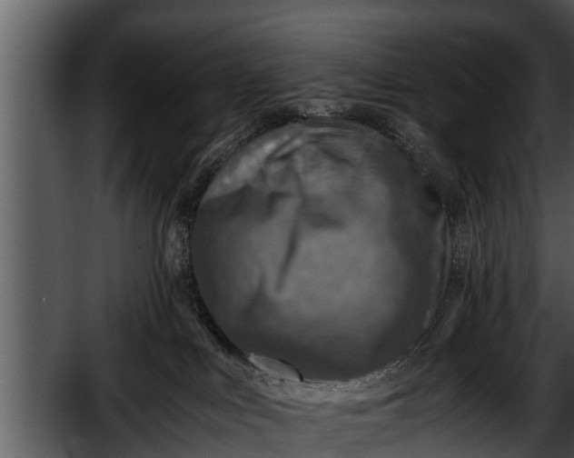 X0000052600043200507160022