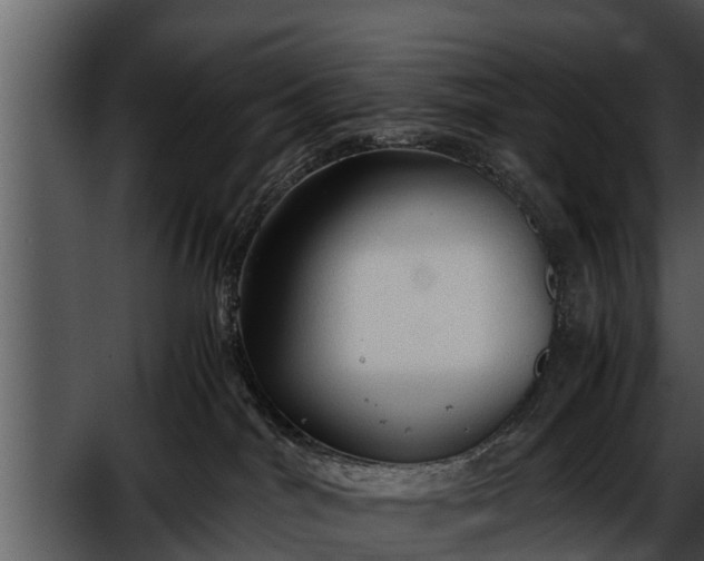 X0000052600044200507160022