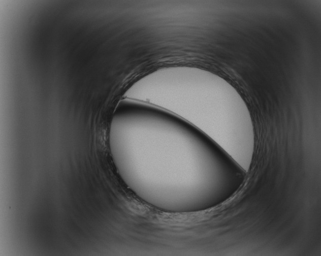 X0000052600045200507160022