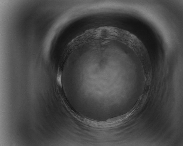 X0000052600047200507160022