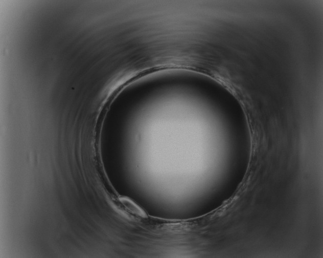 X0000052600050200507160022