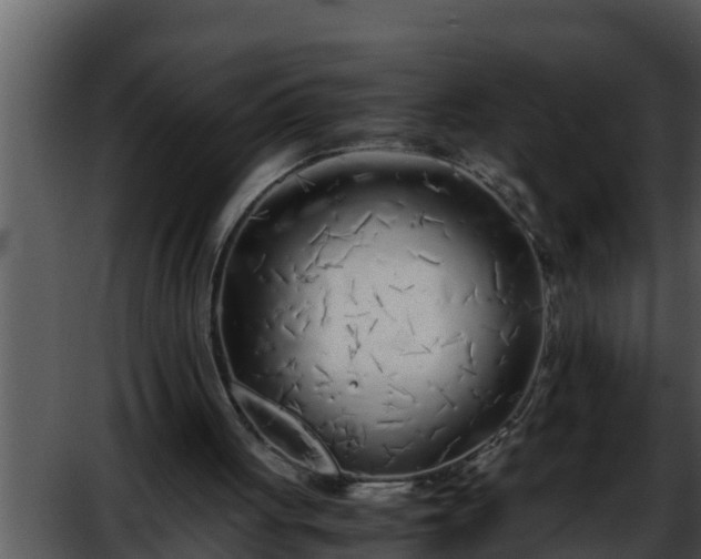 X0000052600051200507160022