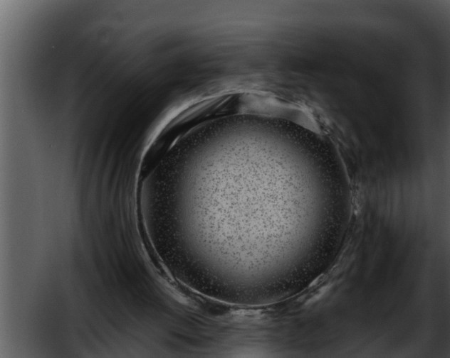 X0000052600052200507160022