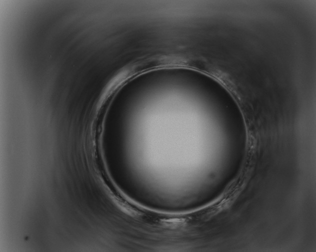 X0000052600053200507160022