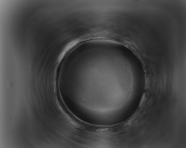 X0000052600054200507160022