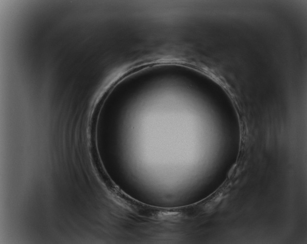 X0000052600055200507160022