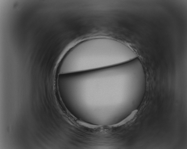 X0000052600056200507160022