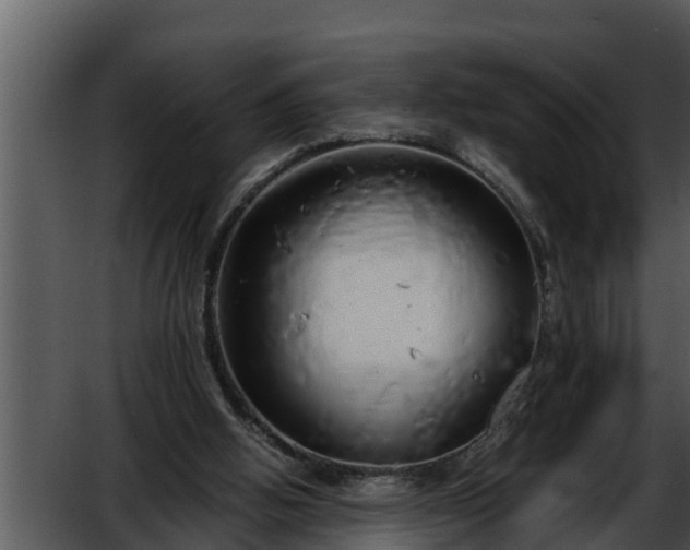 X0000052600058200507160022