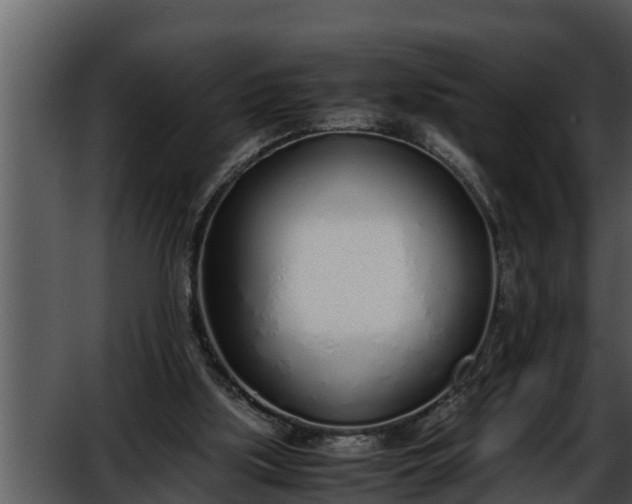 X0000052600059200507160022