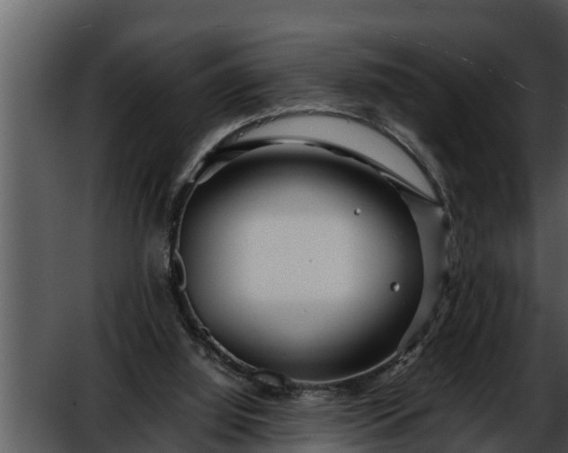 X0000052600060200507160022