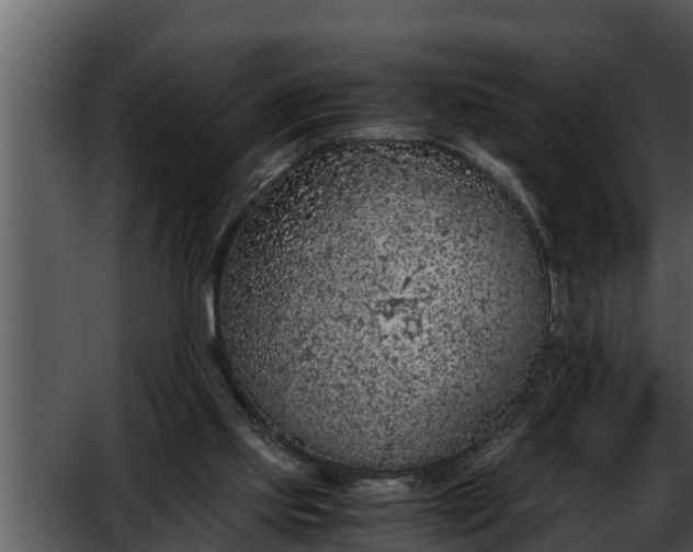 X0000052600061200507160022