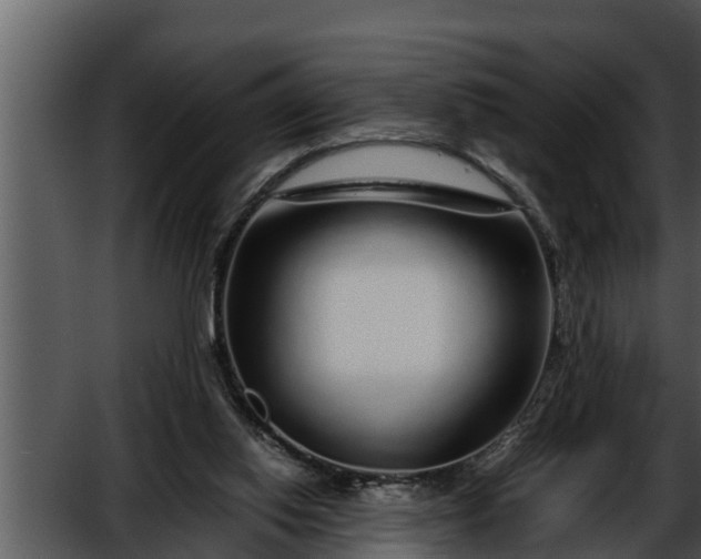 X0000052600062200507160022