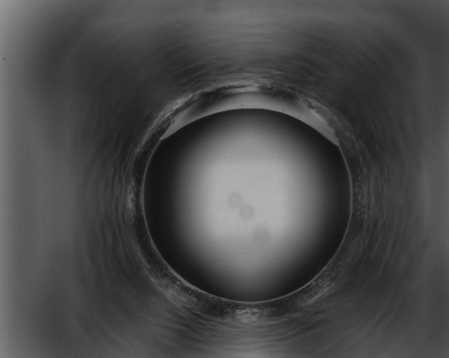 X0000052600064200507160022